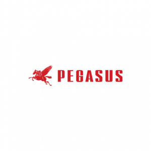 Pegasus Logo
